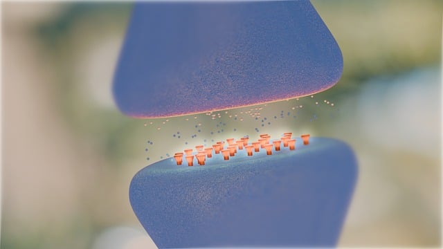 도파민 디톡스 알아보기 1 도파민디톡스 사진1