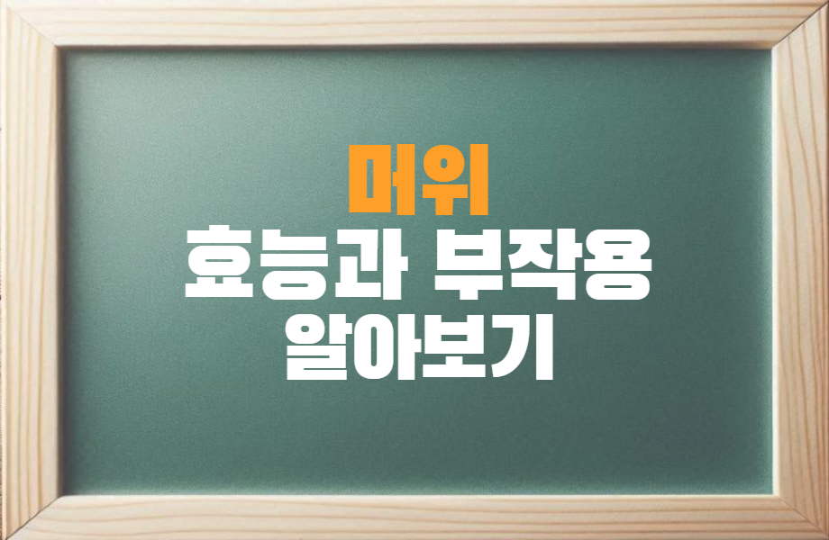머위 효능과 부작용 알아보기 1 머위 효능과 부작용 알아보기 썸네일